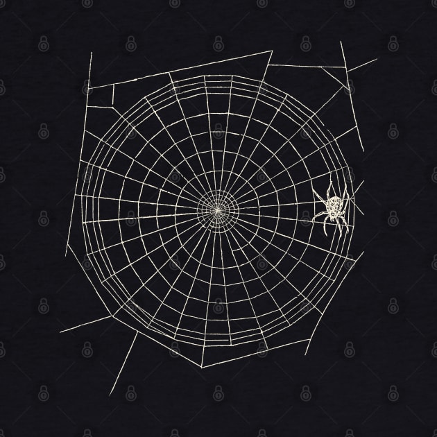 Distressed Spider Web by MarbitMonster